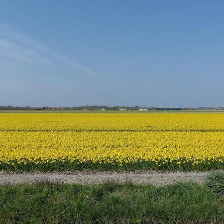 Ooghduyne 75 Julianadorp aan zee Villa Buitenkant foto